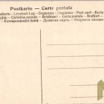 WW1 post 2 card set. German artillery crew