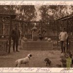 WW1 post card Landwehr Fountain