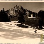 Post card 1935 Mt. Brunnstein w/ edelweiss ink stamp