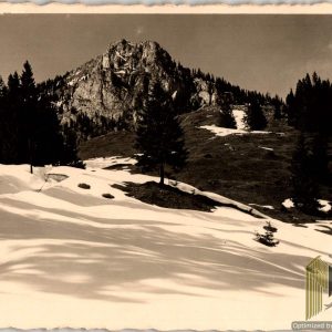 Post card 1935 Mt. Brunnstein w/ edelweiss ink stamp