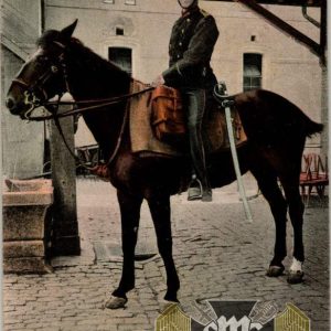 WW1 Postcard French Calvary