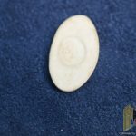 HJ meeting pin 1934