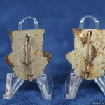 60th infantry DI pin matched pair German made