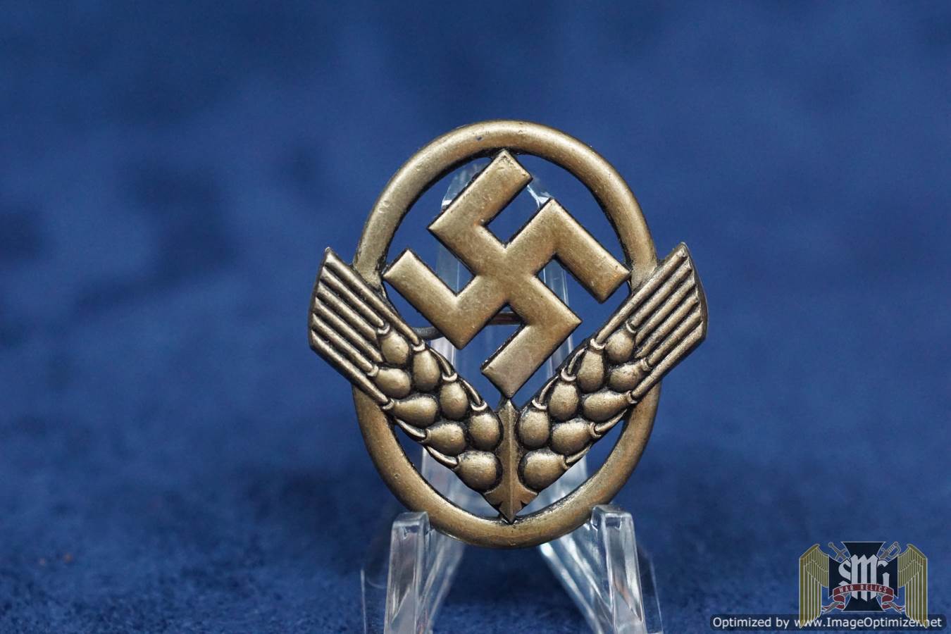 RADwj Cap badge