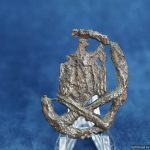 Ground dug General Assault badge hollow back