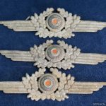 Ground dug Luftwaffe visor wing