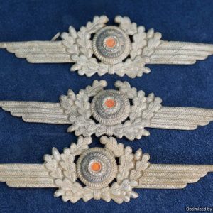 Ground dug Luftwaffe visor wing