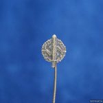 Unit Marked SA stickpin