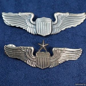 SMGM-4176 Set of airforce wings with broken pins