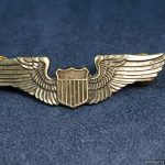 US Airforce Pilot wings Modern