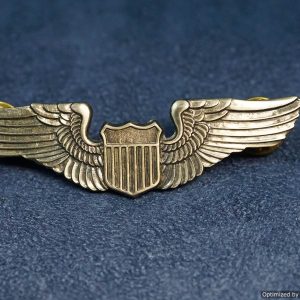 US Airforce Pilot wings Modern