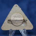 SMGM-4245 NSDAP Kreis Treffen 1936 TirschenreuthKemnath Paper badge