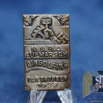 NSBO Aufmarsch Dingolfing 1933