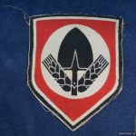 RAD Sport shirt Insignia