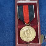 Cased Sudentenland Medal