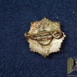 Second Pattern RLB pin