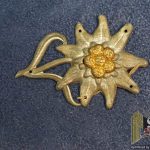 Edelweiss