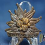 Nebelhorn stocknagel Edelweiss