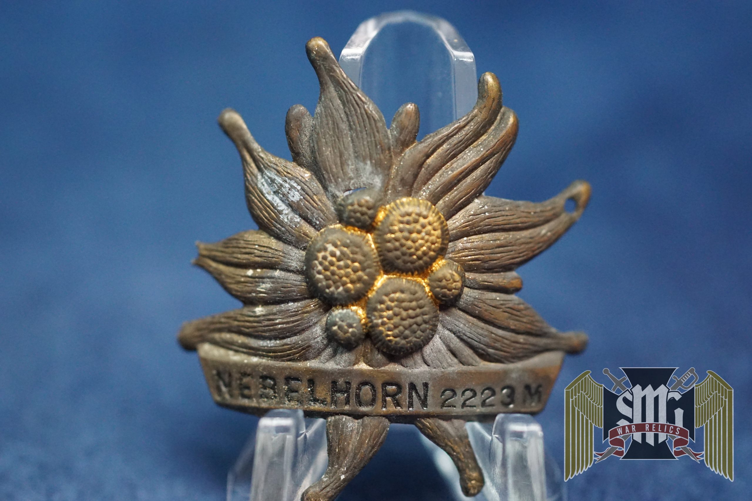 Nebelhorn stocknagel Edelweiss