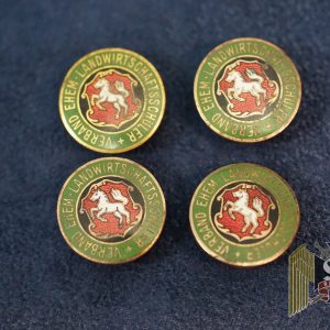 German Agriculture school button Enamel