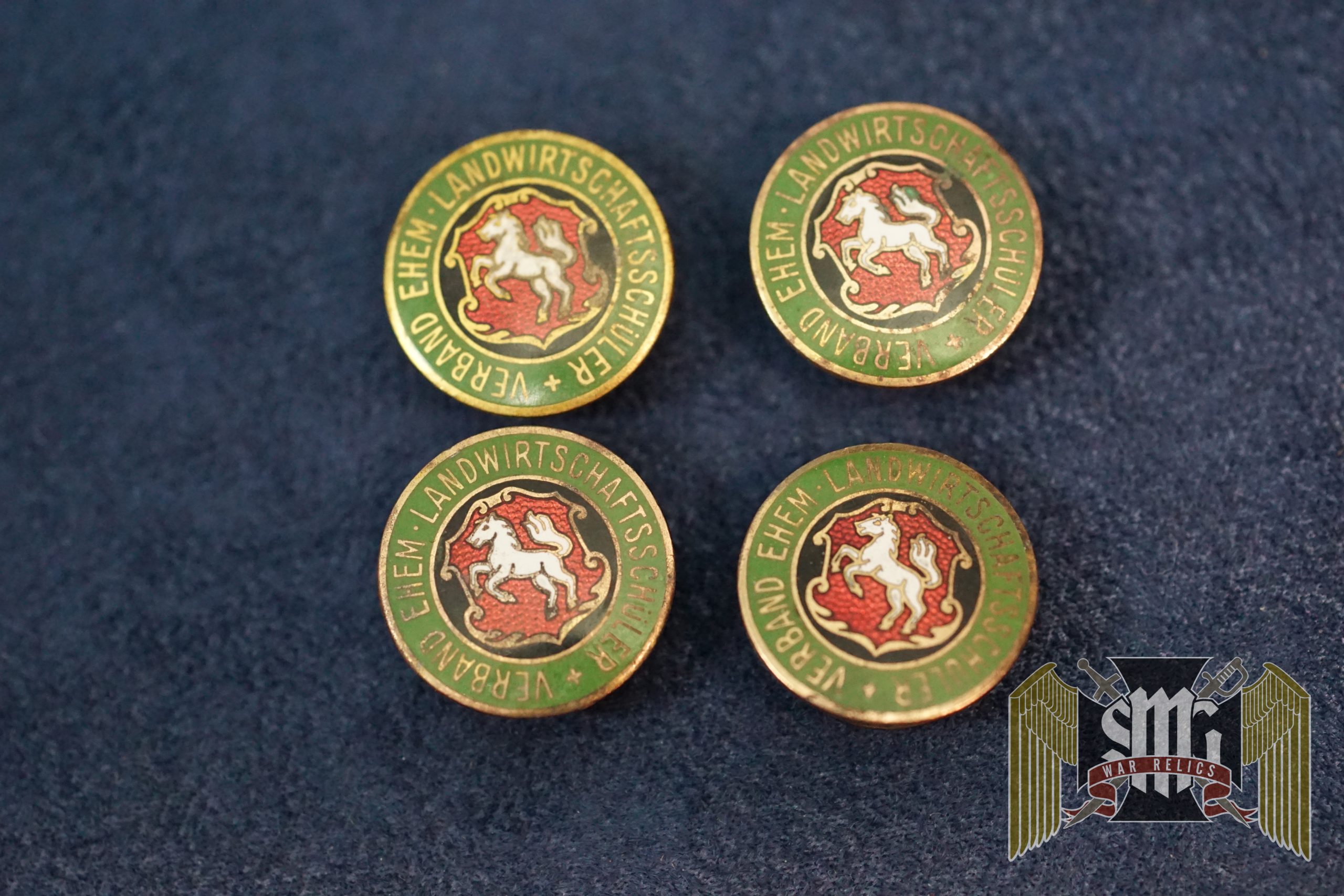 German Agriculture school button Enamel