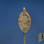 NSKOV Veteran Stick pin