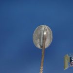 8x9mm General Assault Stick pin