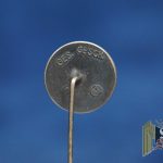 Nationalsozialistische Volkswohlfahrt Stick pin
