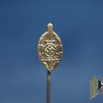 NSKOV Veteran Stick pin
