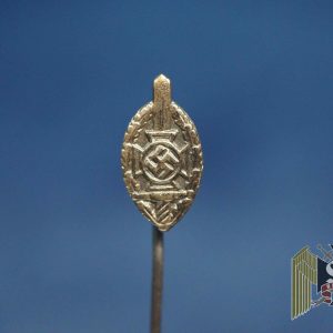 NSKOV Veteran Stick pin