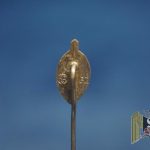 NSKOV Veteran Stick pin