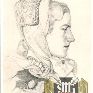 Wolfgang Willrich VDA-postcard, Titel P.14.Nr.13, Deutscher Blutadel in aller Welt