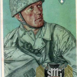 vda luftlandepionier Postcard