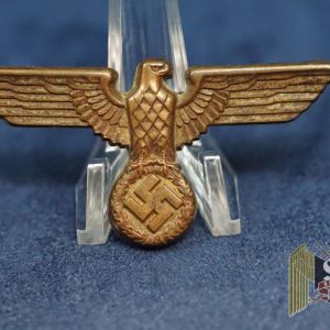Political Eagle in Cupal