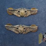 Flight Nurse wings