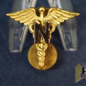 Army Nurse Corps pin