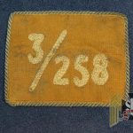 SA Standarte/Sturmfahne Patch