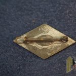 Hitler Youth Member pin Late War