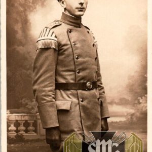 WW1 Postcard, uniform study Musician Swallow