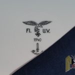 Broken Luftwaffe 9in plate