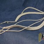 Heer Officer’s Waffenrock Parade Aiguillette Rojahn Grouping