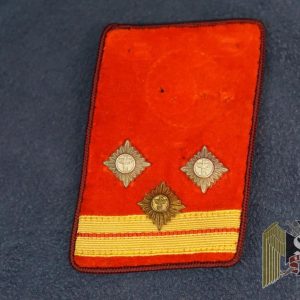 OberEinsatzLeiter collar tab gau level Missing eagle