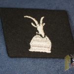 SS Collar tab 21 Waffen Gebrigs Division der SS - Skanderbeg Albanische Nr. 1