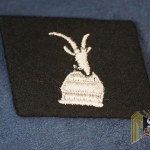 SS Collar tab 21 Waffen Gebrigs Division der SS - Skanderbeg Albanische Nr. 1