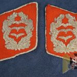 Luftwaffe Oberst Collar tab set