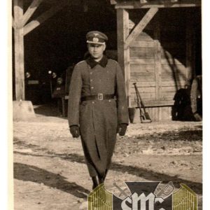 Heer photo Postcard