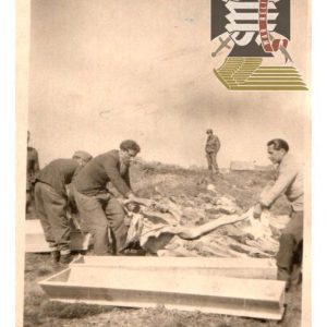 Concentration camp Photo