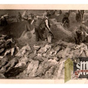 Concentration camp Photo