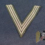 SS Alter Kämpfer Sleeve Chevron in Gray