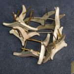 Luftwaffe Collar Tab Gulls
